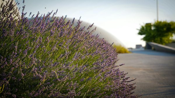L'élégance et le confort de la lampe liseuse : transformer vos moments de lecture