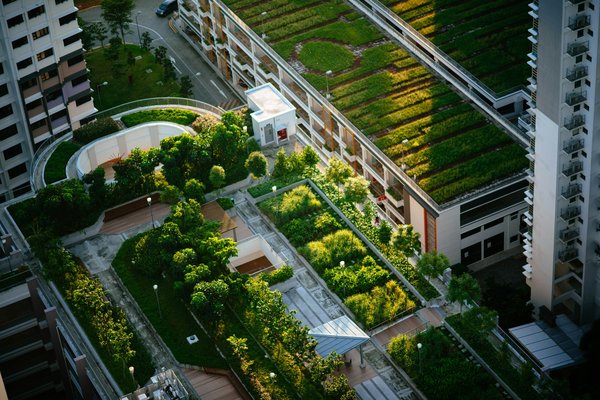 Comment entretenir un jardin comestible sur une terrasse en milieu urbain?