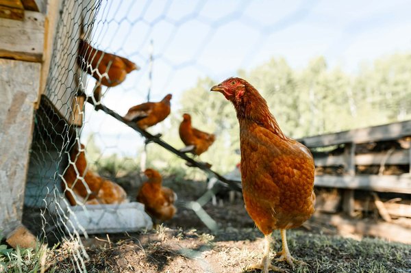 Quelle solution de rangement sous escalier est la plus pratique pour des objets volumineux ?